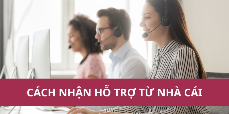 Chăm sóc khách hàng 3king